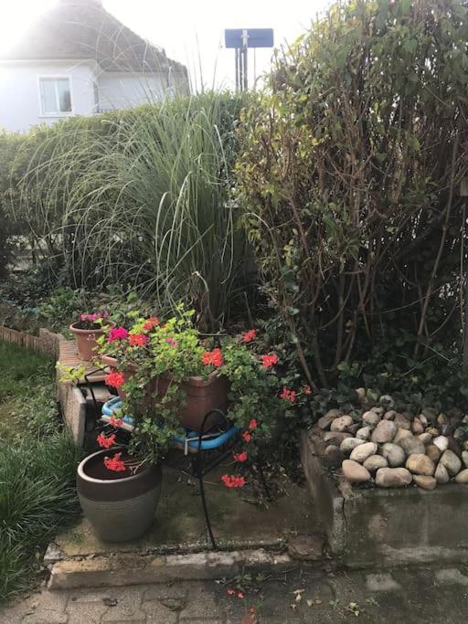 Appartement A La Decouverte De Strasbourg Bischheim Buitenkant foto